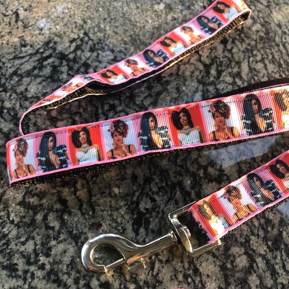 Cardi B Dog pet cat collar leash bundle gift set fashion icon rapper music lot - Picture 2 of 5